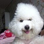 하 나 <b>체육</b>대회때 100미터 달리기 뛰는데