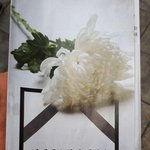 도대체 믿을 만한게 뭐임?