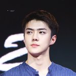 [EXO] 콘서트 가고싶다 체경 <b>완공</b>돼라 빨리