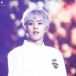 [EXO] 그로년들 이제 다 갔냐 나 질문 좀