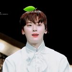 [댓글부탁해] 고3인데 서연고 가능?