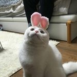 같이다니는애들 ㅈㄴ 싫음