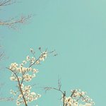 [엔터톡] 대중들 갈수록 아이돌편견 더 <b>심해</b>지는듯