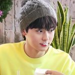 [<b>꼬랑</b>단] 꼬대 꼬대 노란황꼬