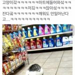 얘들아 고<b>1</b> <b>1</b>학기 중간고사이후부터 차별심해??