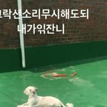 [댓글부탁해] 고기먹을때 <b>구운</b>마늘vs생마늘 추반