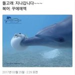 무쌍은 섀도우 안바르는게 나은듯..