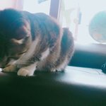 <b>검정</b>고시 만점 못 받을까봐 걱정되서 엄마랑 얘기했는데