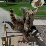 페북 오픈채팅 <b>한</b><b>줄</b>소개!!!!!