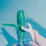 [드루와] 현재 난리난 구원파에 대한 충격적인 진실ㄷㄷ