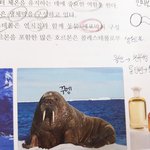 [드루와] 아침<b>자습</b>에 영어 봐야되는데 어딜 중심적으로 볼까