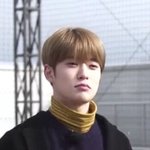 [조언부탁해] 얘들아 나 진짜 급해 조언좀...