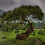 [좋은글귀] 혜민스님이 전하는 삶의 명언 10가지