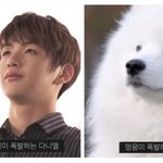 [강다니엘] 멍뭉미 <b>폭발</b>하는 강다니엘