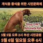 5월 5일 부산에서도 개식용 종식을 위한 <b>시민</b>문화제가 진행됩니다.