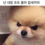 [댓글부탁해] 나 <b>연하</b>랑 썸타는데