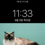배경화면 뭐할까