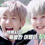 180430 [EXO의 사다리 타고 세계<b>여행</b> 예고편]  백현 움짤...