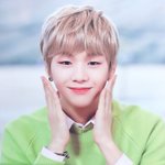 [강다니엘] 강다니엘 투표 ㄱㄱ