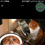 애들아  일베  메갈  같다고  생각해?