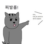 [드루와] 이거 택배 회사에서 보상 가능?