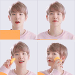 [백현] EXO선스틱 캘리포니아 <b>알로에</b> 선스틱