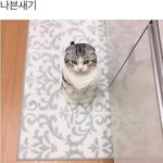 [드루와] 아이뽄 갖구싶옹 .. ㅠ흑