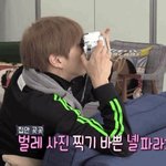 [강다니엘] 녤파라치 코룽이 (강다니엘)