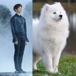 [강다니엘] 진짜 존똑이야 멈무 (강다니엘)