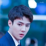 [세훈] 180430 <b>범인</b>은 바로 너 레드카펫 고화질29