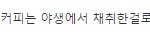[마이갤] 한잔 5만원짜리 커피의 진실
