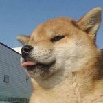 [조언부탁해] 오늘 이거 괜찮음???