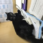 법,심리학,철학 <b>책추천</b>좀