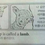 하..<b>상체</b>비만 개부럽다