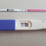저임신아닌가요?<b>테스트기</b>는분명양성인데..