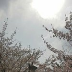 [댓글부탁해] 양아치일거같은 이름 골라<b>주</b><b>셈</b>