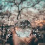 [피쪼끔] 이거 <b>자해</b> 한 거 같음?