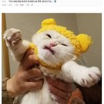 [댓글부탁해] 작은 여드름은 이름없음?