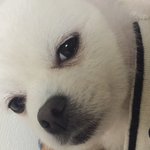 [댓글부탁해] 이거 추반좀