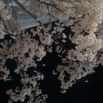 [19] 우리 <b>담임쌤</b> 혼전임신했는데