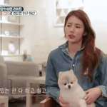 화제중인 치어리더 <b>박기량</b> 강아지