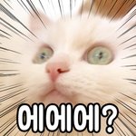 [드루와] 너네 왔<b>따리</b> 갔<b>따리</b> 이거 일본어랑 혼합인거 알았어?