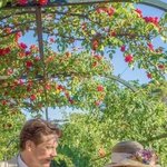 아날로그 웨딩 몇 <b>번이</b> 젤 예뻐????