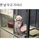 [댓글부탁해] 시력 렌즈끼면 라섹<b>라식</b> 못해?