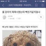 [댓글부탁해] 옾챗얼평올린년 ㅋㅋㅋㅋ<b>그글</b>