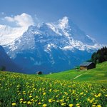 [조언부탁] 환공포증 심한사람 드루와