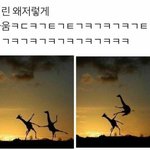 [다드루와봐] 선배좋아하는데 어케<b>다가</b>가지ㅠ