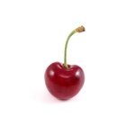 <b>체리</b>체리