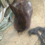 [드루와] 실수로 옛날에 괴롭힘 당할때 카톡 봤는데