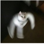 남자 키180개존잘 개거지vs남자키155 오수 존부